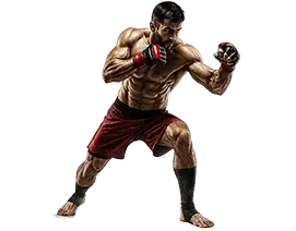 MMA API